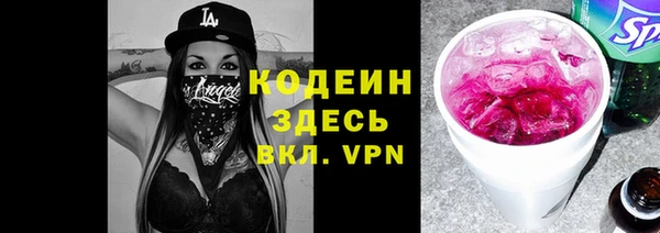 apvp Вяземский