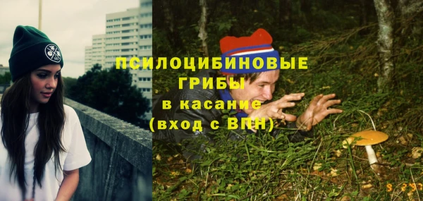 МДПВ Волосово