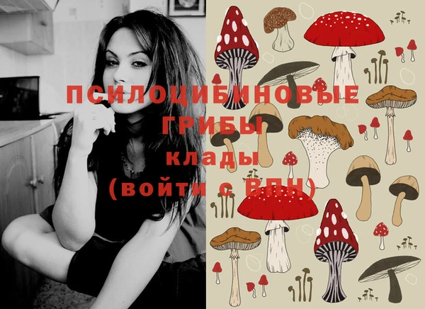 круглые Вязники