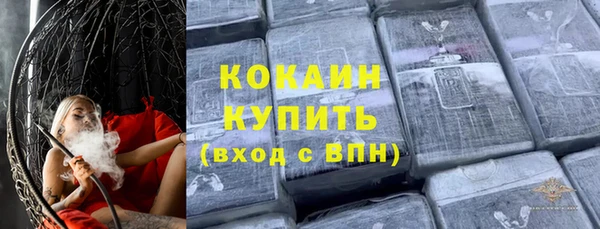 apvp Вяземский