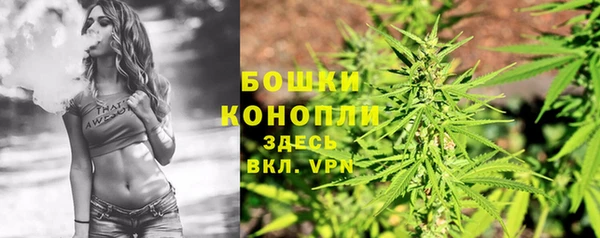 apvp Вяземский