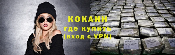 apvp Вяземский