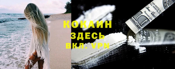 трава Вязьма