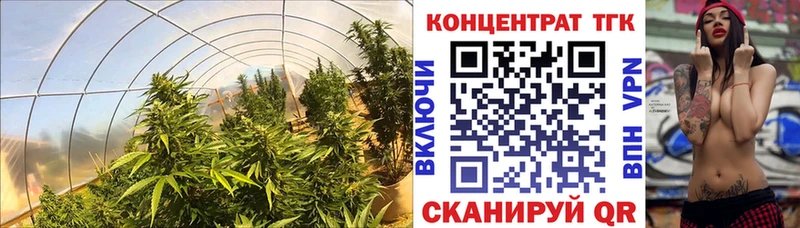 ТГК вейп  дарк нет официальный сайт  Заволжье  KRAKEN вход 