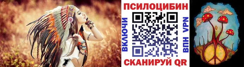 Псилоцибиновые грибы Psilocybe  Заволжье 